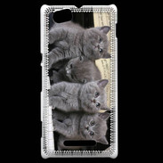 Coque Sony Xperia M Chatons musiciens