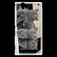 Coque Sony Xperia T2 Ultra Chatons musiciens