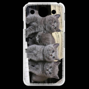 Coque LG G Pro Chatons musiciens
