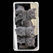 Coque LG F5 Chatons musiciens
