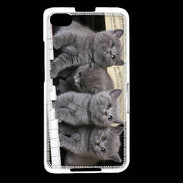 Coque Blackberry Z30 Chatons musiciens