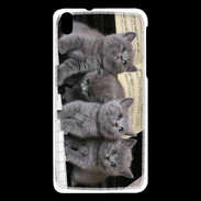 Coque HTC Desire 816 Chatons musiciens