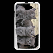 Coque HTC Desire 516 Chatons musiciens