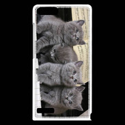 Coque Huawei Ascend G6 Chatons musiciens