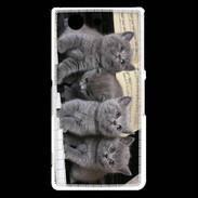 Coque Sony Xperia Z3 Compact Chatons musiciens