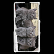 Coque Sony Xperia Z1 Compact Chatons musiciens