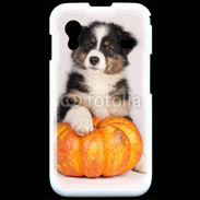 Coque Samsung ACE S5830 Chiot Berger Australien 25
