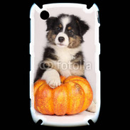 Coque Blackberry 8520 Chiot Berger Australien 25