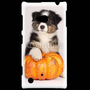 Coque Nokia Lumia 720 Chiot Berger Australien 25