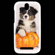 Coque HTC One SV Chiot Berger Australien 25