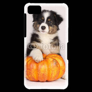 Coque Blackberry Z10 Chiot Berger Australien 25