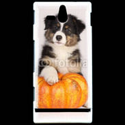 Coque Sony Xperia U Chiot Berger Australien 25
