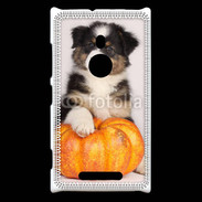 Coque Nokia Lumia 925 Chiot Berger Australien 25