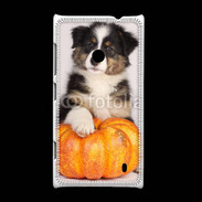 Coque Nokia Lumia 520 Chiot Berger Australien 25