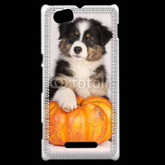 Coque Sony Xperia M Chiot Berger Australien 25