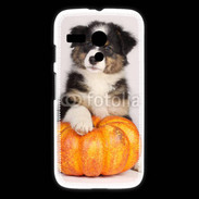 Coque Motorola G Chiot Berger Australien 25