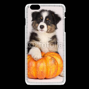 Coque iPhone 6Plus / 6Splus Chiot Berger Australien 25