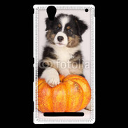 Coque Sony Xperia T2 Ultra Chiot Berger Australien 25