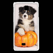 Coque LG F5 Chiot Berger Australien 25