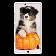 Coque Nokia Lumia 930 Chiot Berger Australien 25