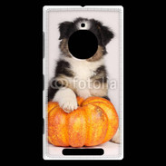 Coque Nokia Lumia 830 Chiot Berger Australien 25