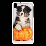 Coque HTC Desire 816 Chiot Berger Australien 25