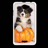 Coque HTC Desire 516 Chiot Berger Australien 25