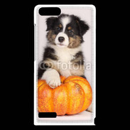 Coque Huawei Ascend G6 Chiot Berger Australien 25