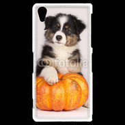 Coque Sony Xperia Z2 Chiot Berger Australien 25