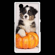Coque Sony Xperia Z3 Compact Chiot Berger Australien 25