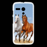 Coque Motorola G Duo de chevaux