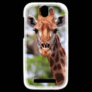 Coque HTC One SV Portrait d'une Giraffe
