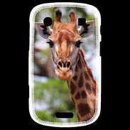 Coque Blackberry Bold 9900 Portrait d'une Giraffe