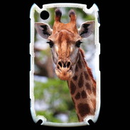 Coque Blackberry 8520 Portrait d'une Giraffe