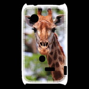 Coque Sony Xperia Typo Portrait d'une Giraffe
