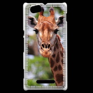 Coque Sony Xperia M Portrait d'une Giraffe