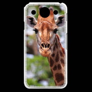 Coque LG G Pro Portrait d'une Giraffe