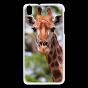 Coque HTC Desire 816 Portrait d'une Giraffe