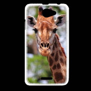 Coque HTC Desire 516 Portrait d'une Giraffe