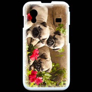 Coque Samsung ACE S5830 Trio de chiots Carlin