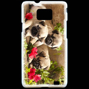 Coque Samsung Galaxy S2 Trio de chiots Carlin