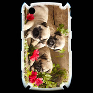 Coque Blackberry 8520 Trio de chiots Carlin