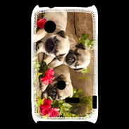 Coque Sony Xperia Typo Trio de chiots Carlin