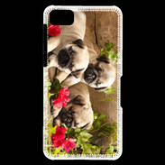 Coque Blackberry Z10 Trio de chiots Carlin