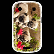 Coque Blackberry Bold 9900 Trio de chiots Carlin