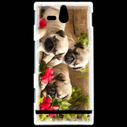 Coque Sony Xperia U Trio de chiots Carlin