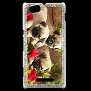 Coque Sony Xperia M Trio de chiots Carlin