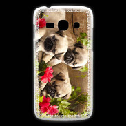 Coque Samsung Galaxy Ace3 Trio de chiots Carlin