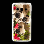 Coque Samsung Galaxy Express2 Trio de chiots Carlin