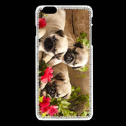 Coque iPhone 6Plus / 6Splus Trio de chiots Carlin
